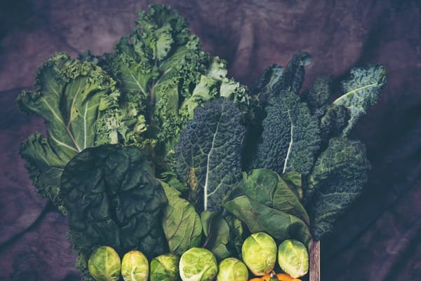 Iron Deficiency in Women: The Symptoms You Dismiss as 'Just Tired'