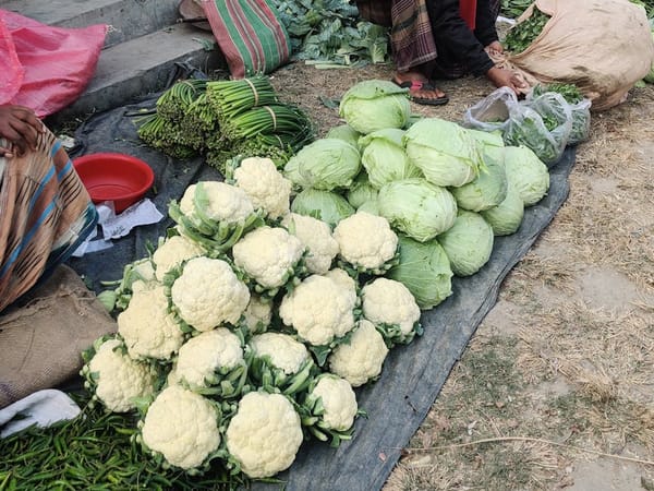 Today's Nutrition Move: Eat a Vegetable You Don't Usually